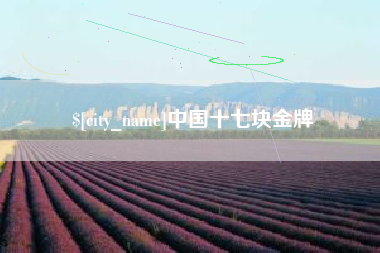 沭阳中国十七块金牌