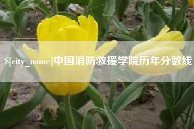 沭阳中国消防救援学院历年分数线