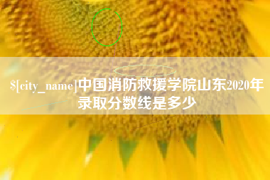 沭阳中国消防救援学院山东2020年录取分数线是多少