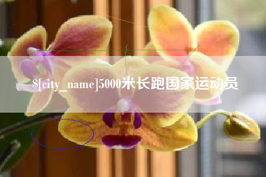 沭阳5000米长跑国家运动员
