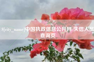 沭阳中国执政信息公开网-失信人员查询页