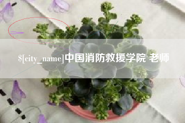 沭阳中国消防救援学院 老师