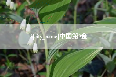 沭阳中国第9金
