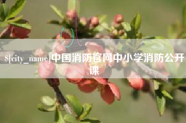 沭阳中国消防官网中小学消防公开课