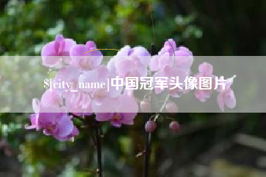 沭阳中国冠军头像图片