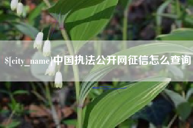 沭阳中国执法公开网征信怎么查询