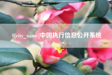 沭阳中国执行信息公开系统