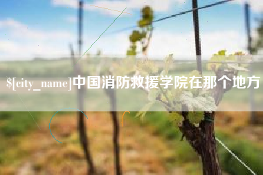沭阳中国消防救援学院在那个地方