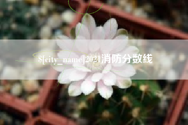 沭阳2021消防分数线