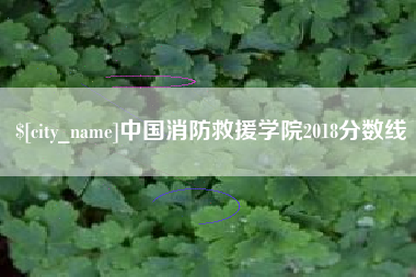 沭阳中国消防救援学院2018分数线