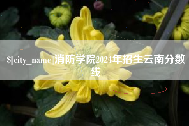 沭阳消防学院2024年招生云南分数线