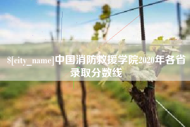 沭阳中国消防救援学院2020年各省录取分数线