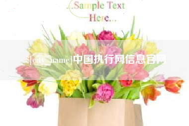 沭阳中国执行网信息官网