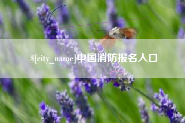 沭阳中国消防报名入口