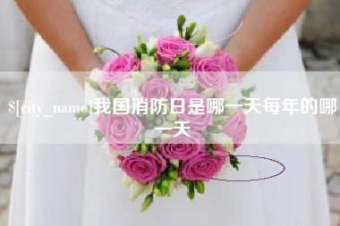 沭阳我国消防日是哪一天每年的哪一天