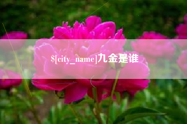 沭阳九金是谁