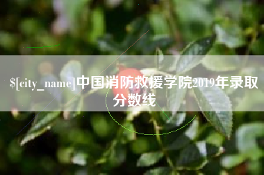 沭阳中国消防救援学院2019年录取分数线