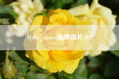 沭阳金牌图片2021