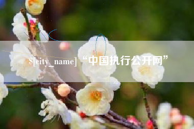 沭阳“中国执行公开网”