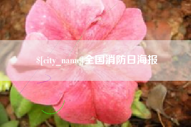 沭阳全国消防日海报