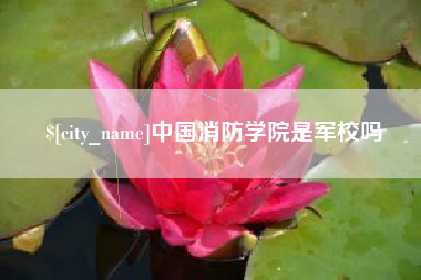 沭阳中国消防学院是军校吗