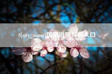 沭阳国家消防报名入口