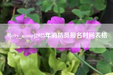 沭阳2025年消防员报名时间表格