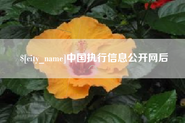 沭阳中国执行信息公开网后