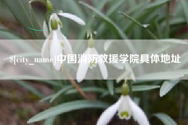 沭阳中国消防救援学院具体地址
