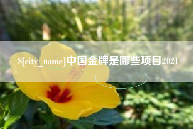 沭阳中国金牌是哪些项目2021