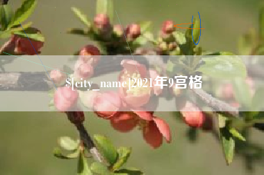 沭阳2021年9宫格