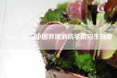 沭阳中国救援消防学院招生简章