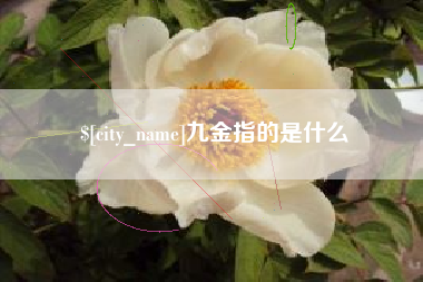 沭阳九金指的是什么