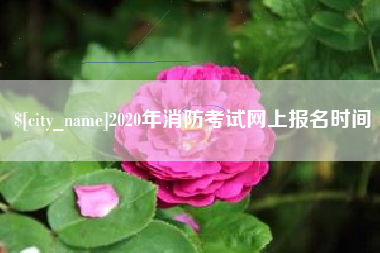 沭阳2020年消防考试网上报名时间