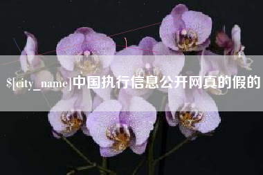 沭阳中国执行信息公开网真的假的