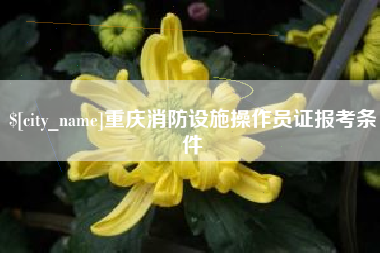 沭阳重庆消防设施操作员证报考条件
