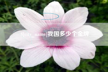沭阳我国多少个金牌