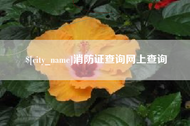 沭阳消防证查询网上查询