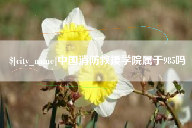 沭阳中国消防救援学院属于985吗