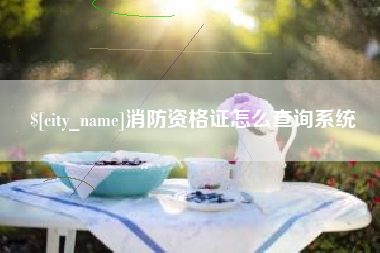 沭阳消防资格证怎么查询系统