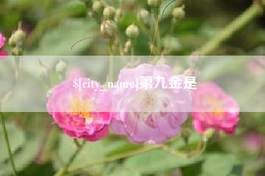 沭阳第九金是