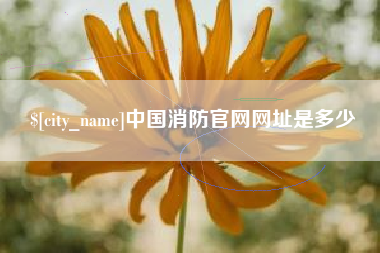 沭阳中国消防官网网址是多少
