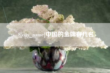 沭阳中国的金牌有几名