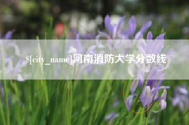 沭阳河南消防大学分数线