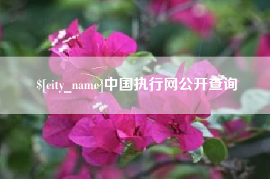 沭阳中国执行网公开查询