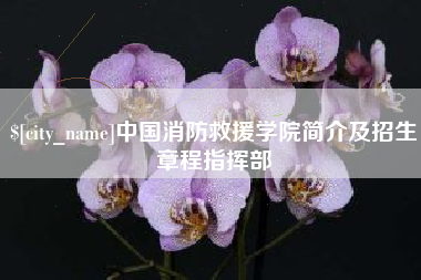 沭阳中国消防救援学院简介及招生章程指挥部