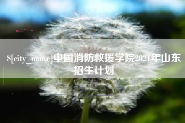 沭阳中国消防救援学院2021年山东招生计划