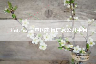 沭阳中国执行信息公开平台