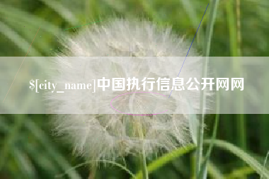 沭阳中国执行信息公开网网