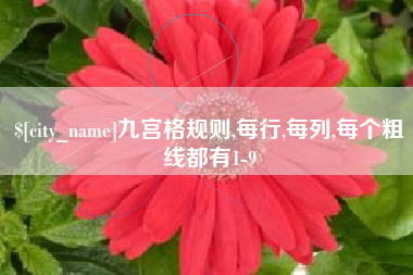 沭阳九宫格规则,每行,每列,每个粗线都有1-9